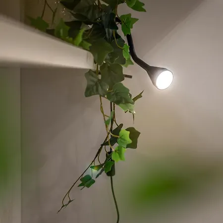 Lady Glam Appartement *